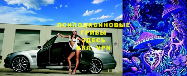 соль курить ск Медвежьегорск