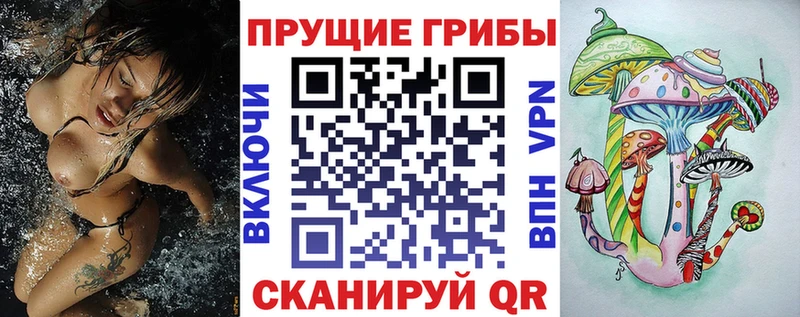 Псилоцибиновые грибы мухоморы  продажа наркотиков  Новосиль 